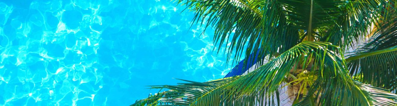 Miami Poolside poolside in Miami